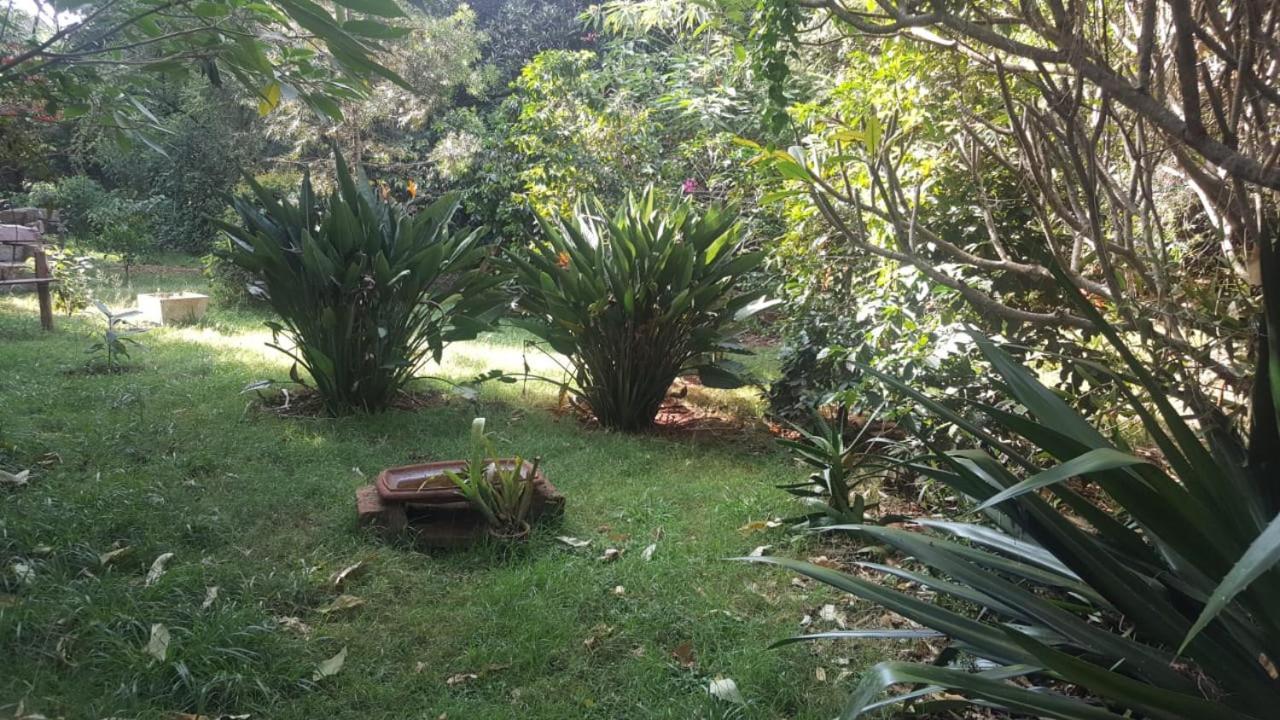The Cottage-Place Of Grace 2Bdrm And Loft Bed All 4U At Usd58 Nairobi Dış mekan fotoğraf