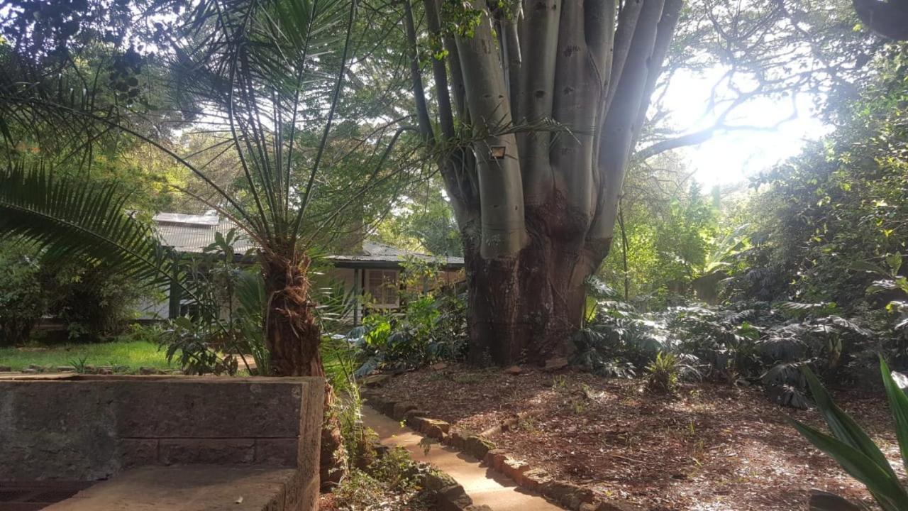 The Cottage-Place Of Grace 2Bdrm And Loft Bed All 4U At Usd58 Nairobi Dış mekan fotoğraf