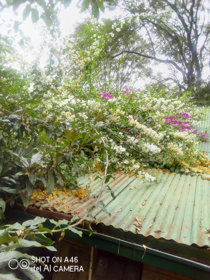 The Cottage-Place Of Grace 2Bdrm And Loft Bed All 4U At Usd58 Nairobi Dış mekan fotoğraf